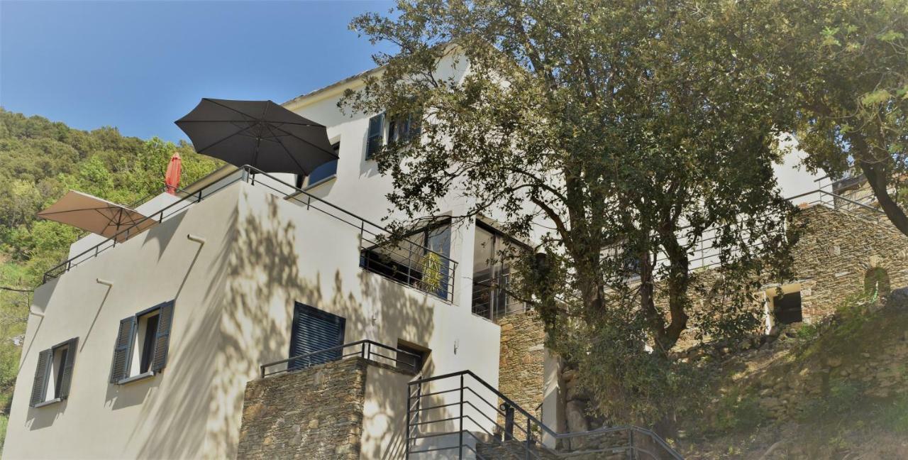 A Casa Di Campa Oletta (Corsica) Exterior foto